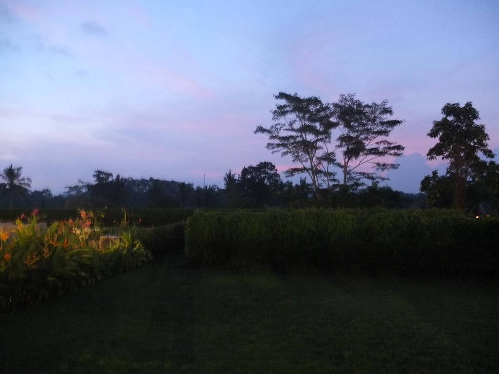 Ubud Wana Resort Exteriör bild