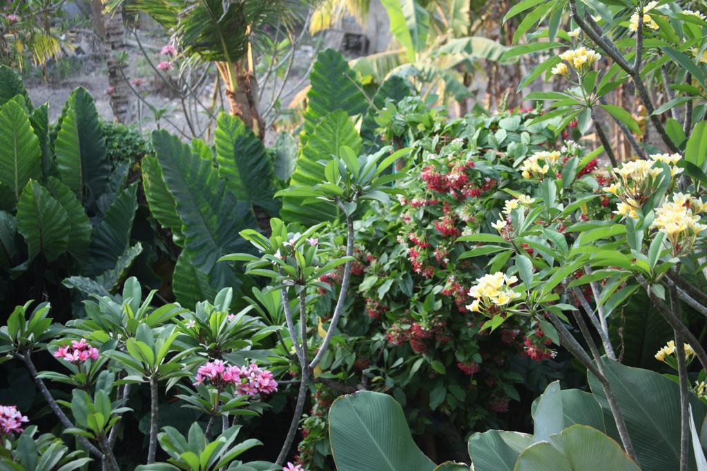 Ubud Wana Resort Exteriör bild