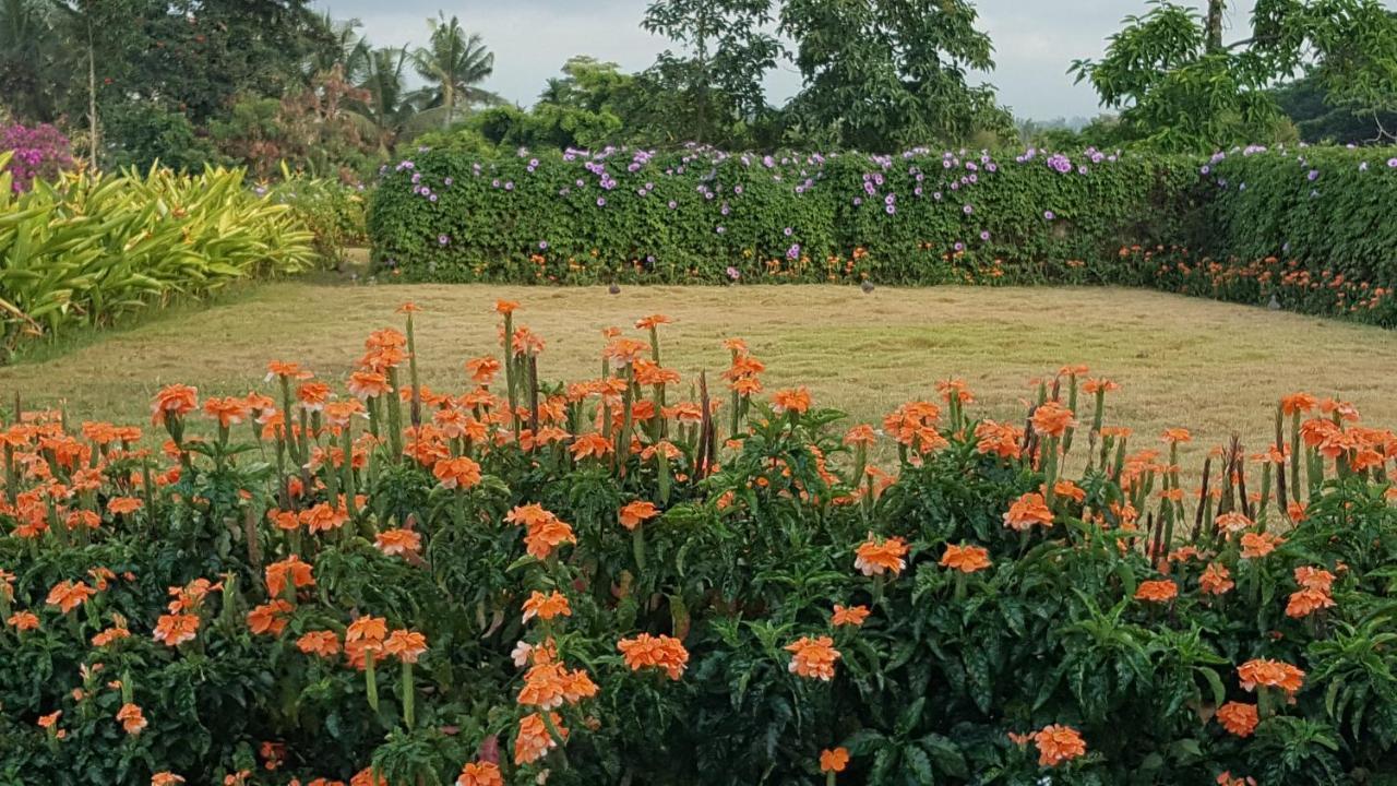 Ubud Wana Resort Exteriör bild